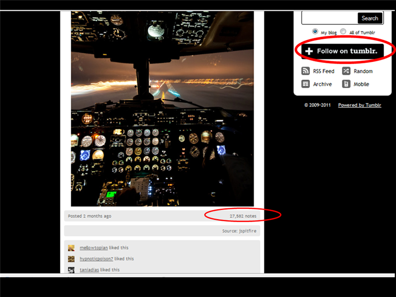 Most Notes On Tumblr Post