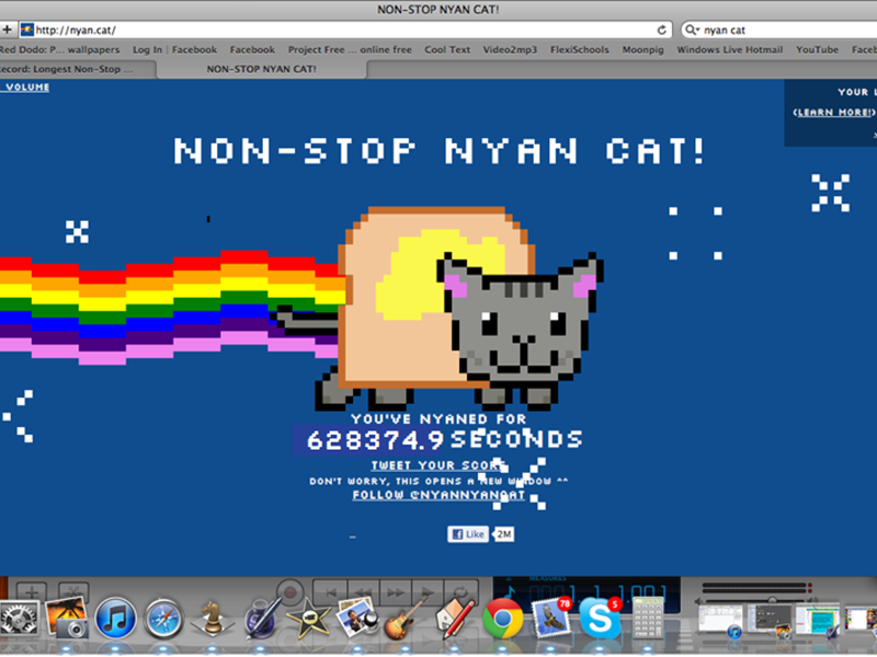Longest Non-Stop Nyan Cat