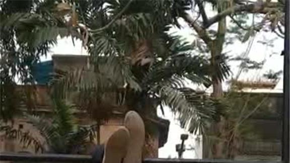 Hanging Upside Down With Help of Legs