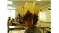 Most Paper Airplanes Stuck In Hair At Once