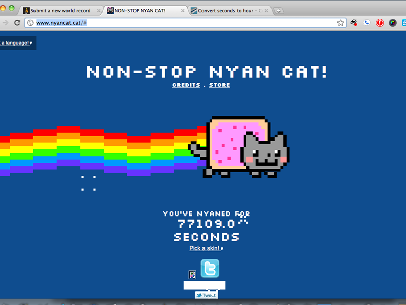 Longest Non-Stop Nyan Cat