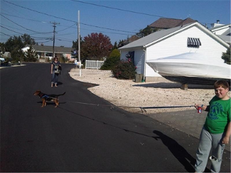 Longest Homemade Dog Leash