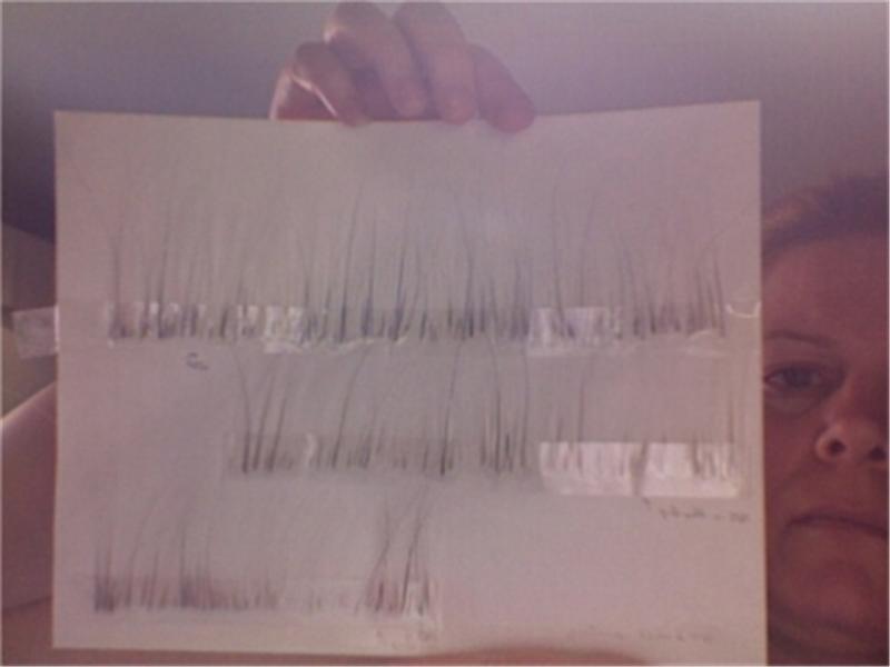 Largest Cat Whisker Collection