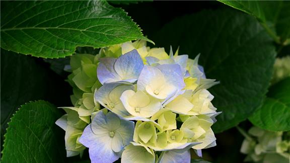 Most People High Fived In One Minute