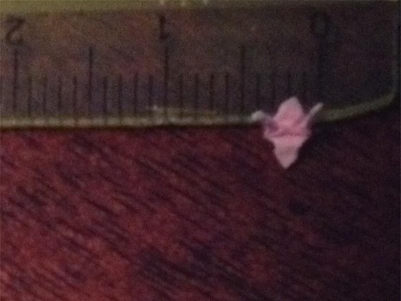 Smallest Origami Crane