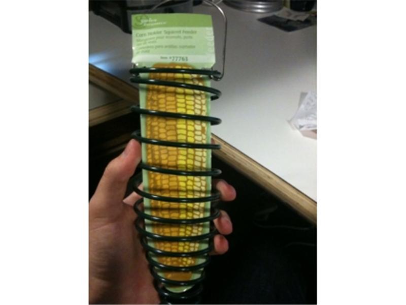 Largest Corn Holder Squirrel Feeder Collection