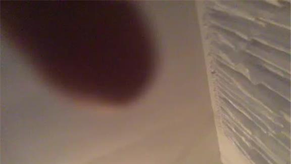 Most Hops On One Foot  By A 10-Year-Old