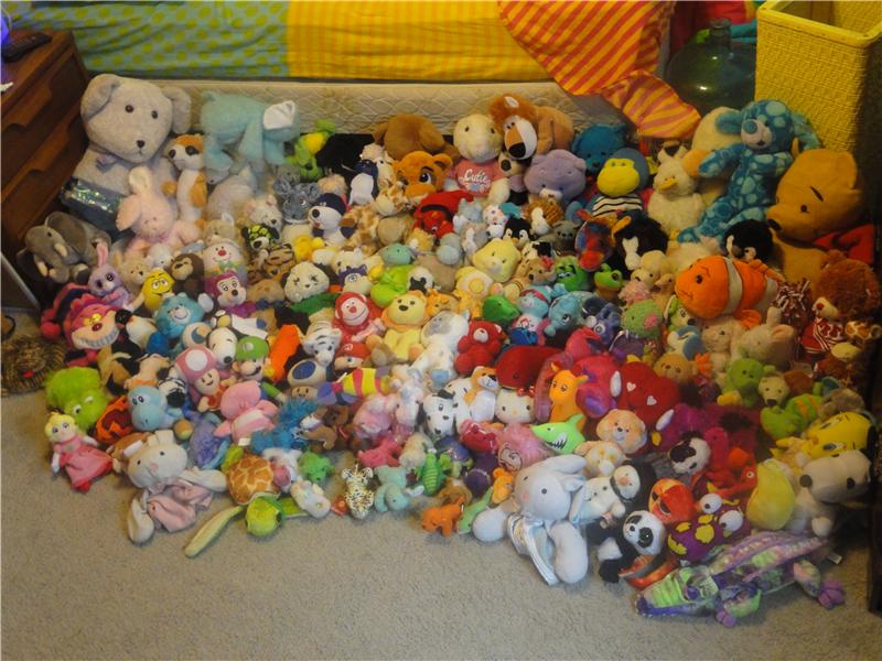 Most Stuffed Animals In A Bedroom
