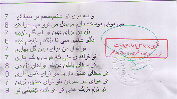 Longest Love Poem Written To A Newt In Two Minutes In A Prius