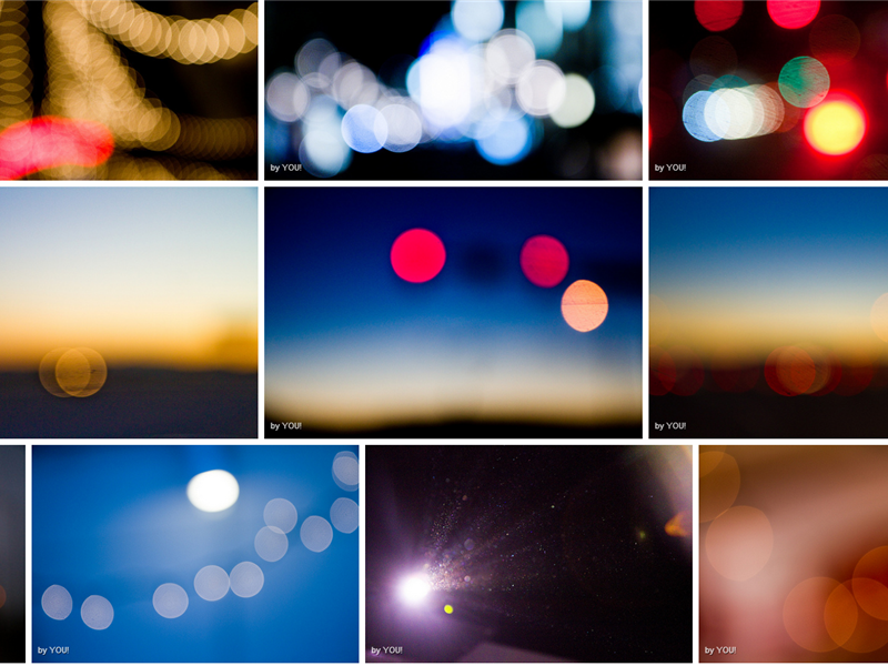 Most Bokeh Photographs Taken By A Single Photographer