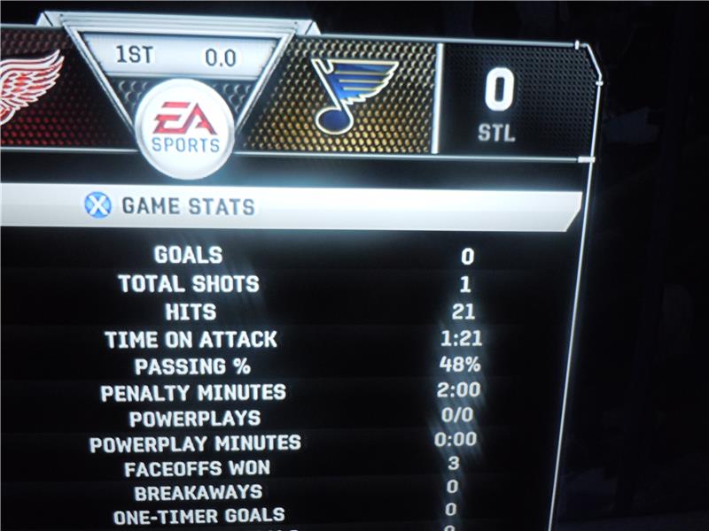 Most Hits Made In A Single Hockey Game In 