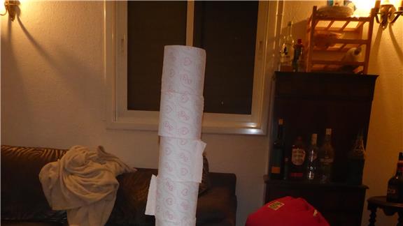 Tallest Toilet Paper Eiffel Tower 