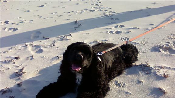 Typing My Alphabet for 26.42 Seconds