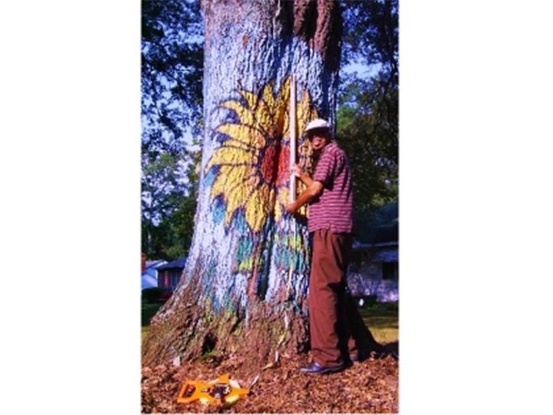 Tallest Wildflower Hand Painted On A Tree