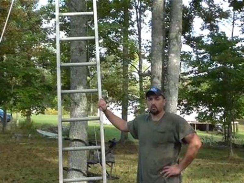 World's Tallest Tree Stand