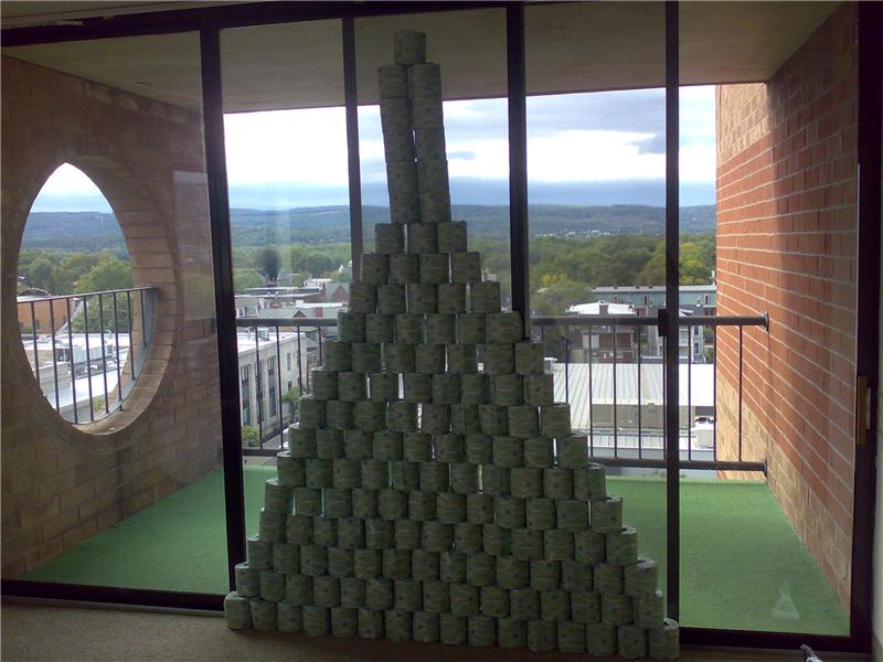 Largest Toilet Paper Triangle