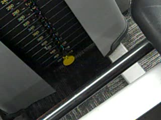 Most 1,000 Pound One Leg (Unilateral) Leg Presses on a Horizontal Nautilus Nitro Machine