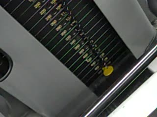 Most 900 Pound One Leg (Unilateral) Leg Presses