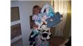 Most Stuffed Animals Held In Arms At Once