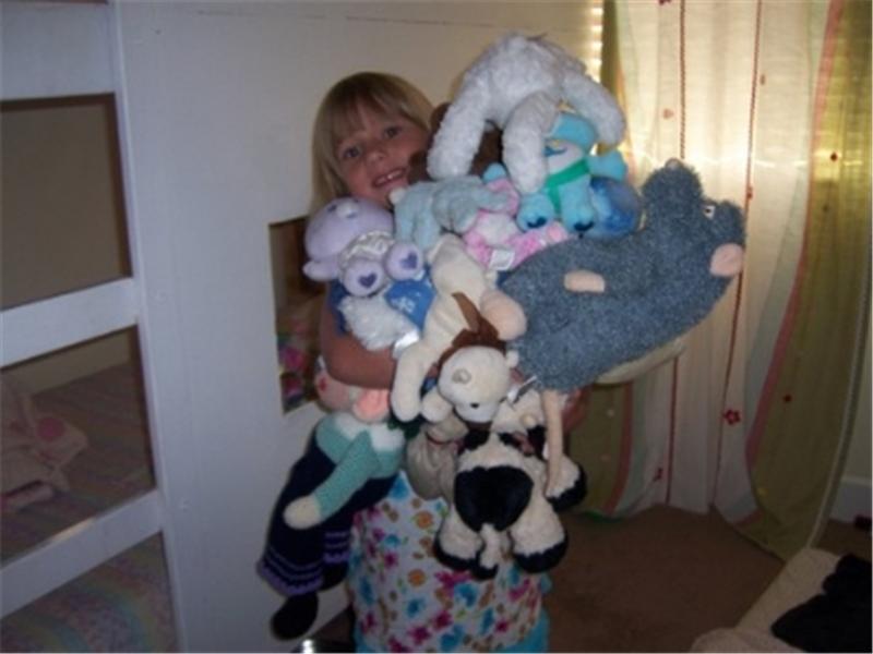 Most Stuffed Animals Held In Arms At Once