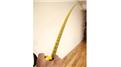 Longest Suspension Of Tape Measure While Standing On One Foot