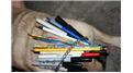 Most Writing Utensils Fit Inside A Pug\'s Collar
