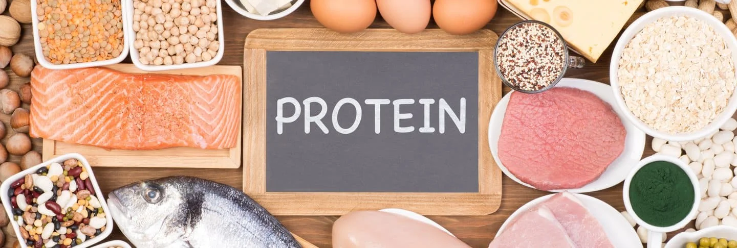 Proteínas y sus beneficios