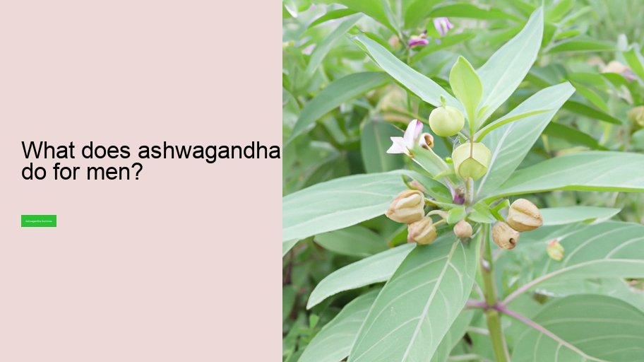 What does ashwagandha do for men?