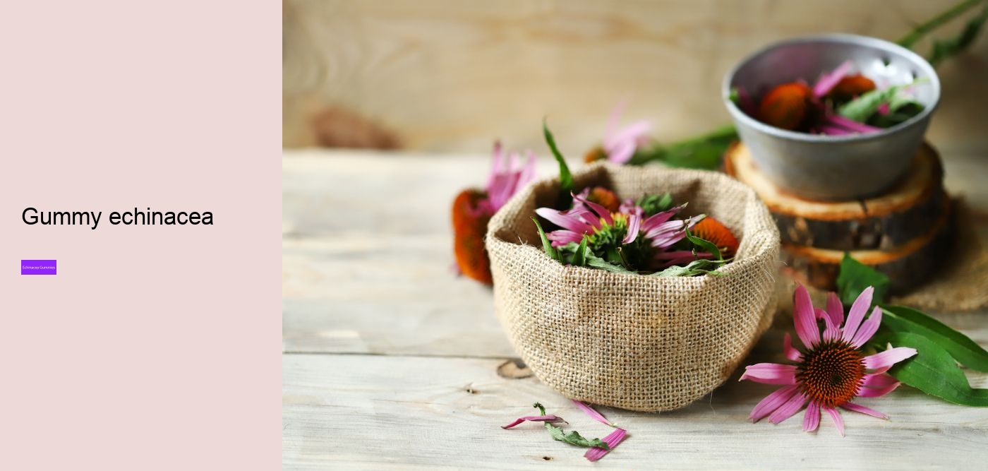 Does echinacea help when you are already sick?