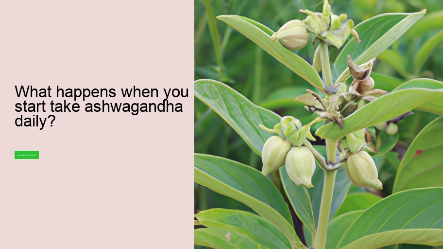 What happens when you start take ashwagandha daily?