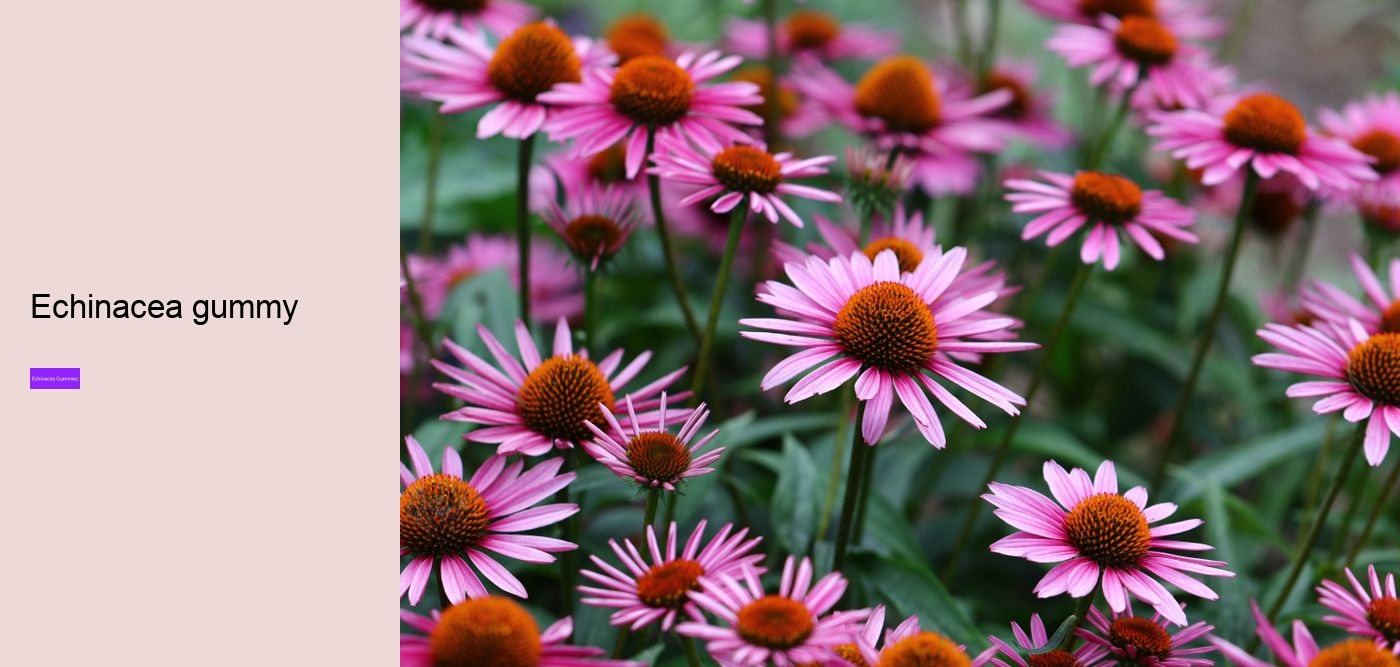 gummy echinacea bears