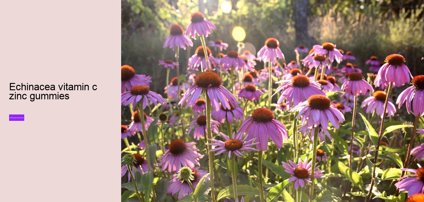 elderberry gummies with echinacea