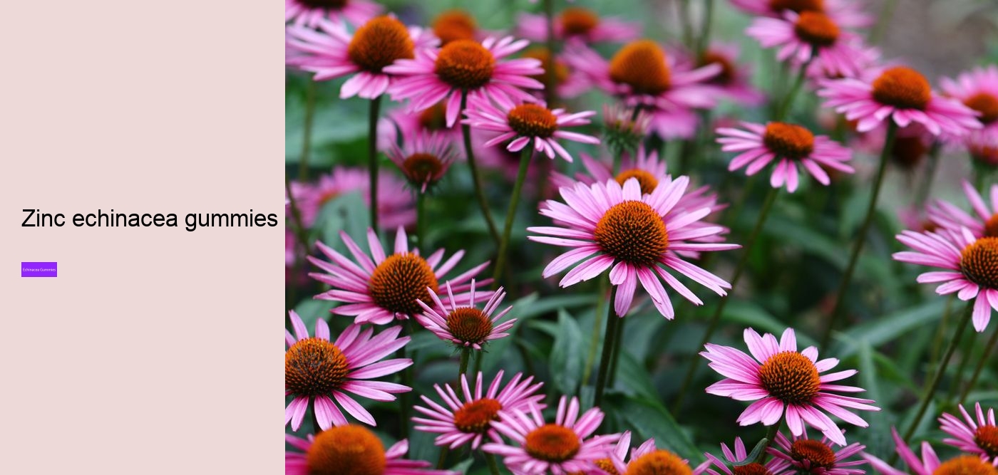 Is echinacea good for your gut?