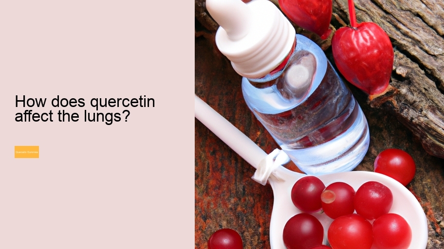 How does quercetin affect the lungs?