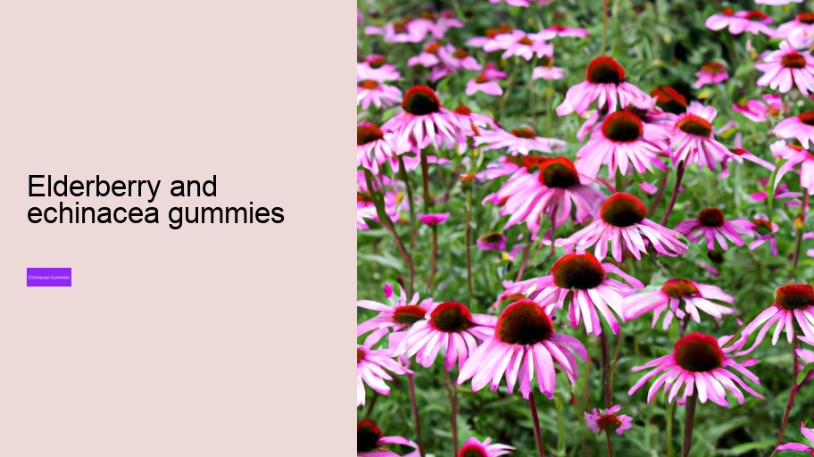 elderberry and echinacea gummies