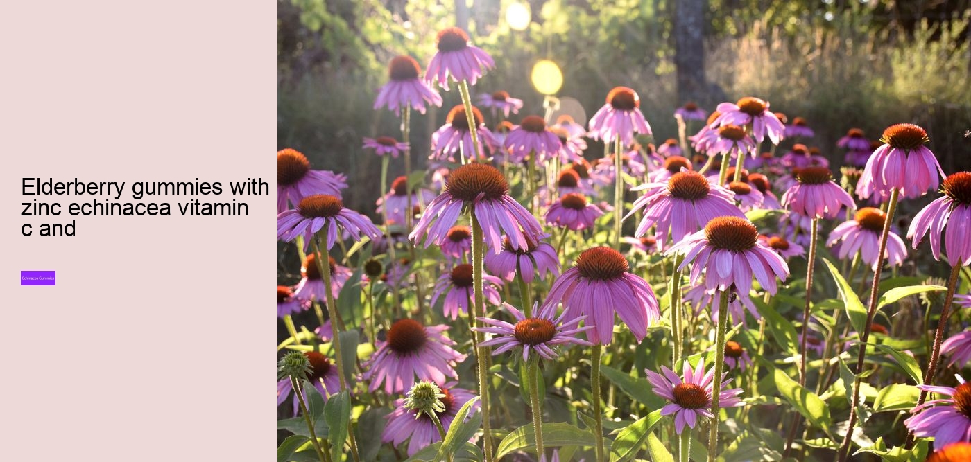 elderberry gummies with zinc echinacea vitamin c and