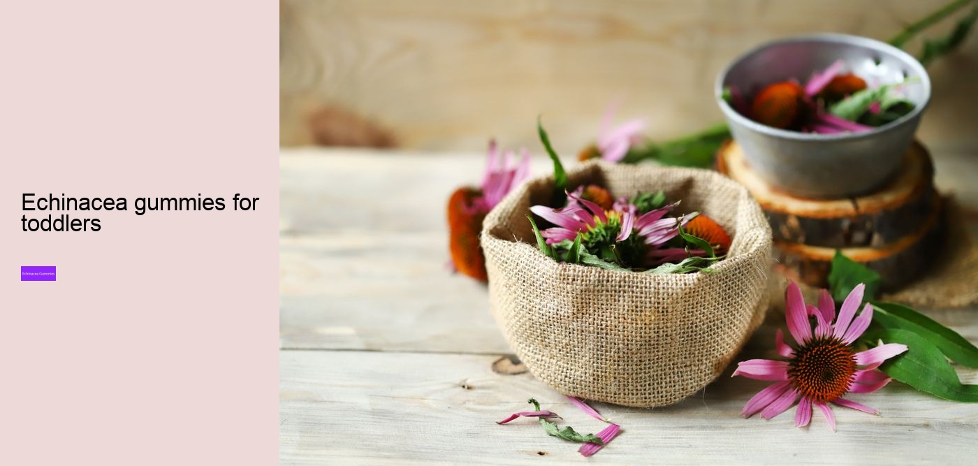 What does echinacea do for hormones?