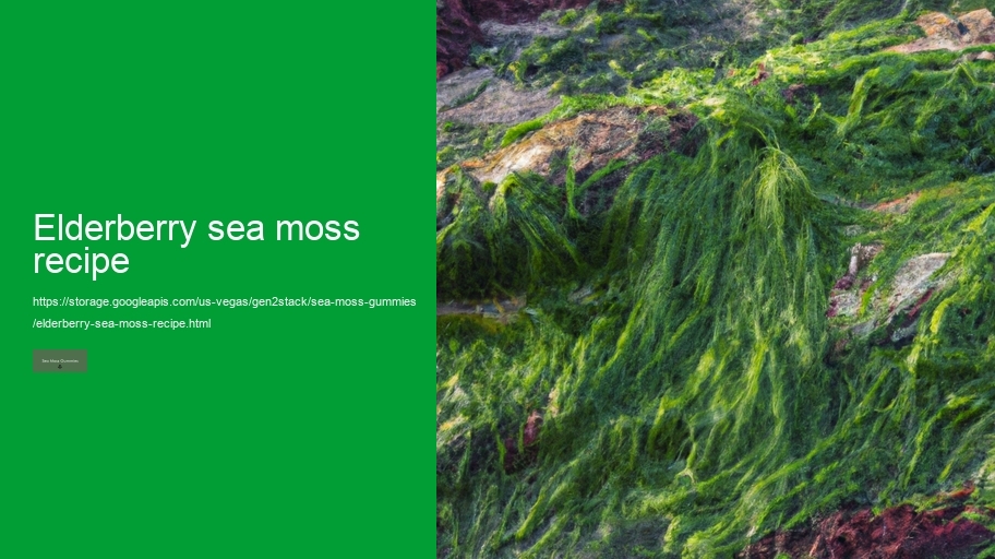 elderberry sea moss recipe