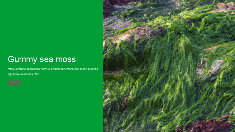 gummy sea moss