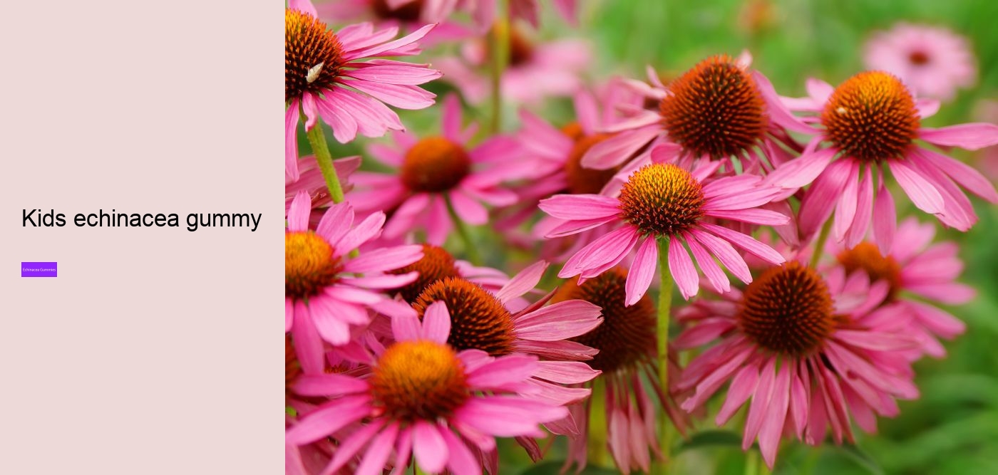 Why not take echinacea on an empty stomach?