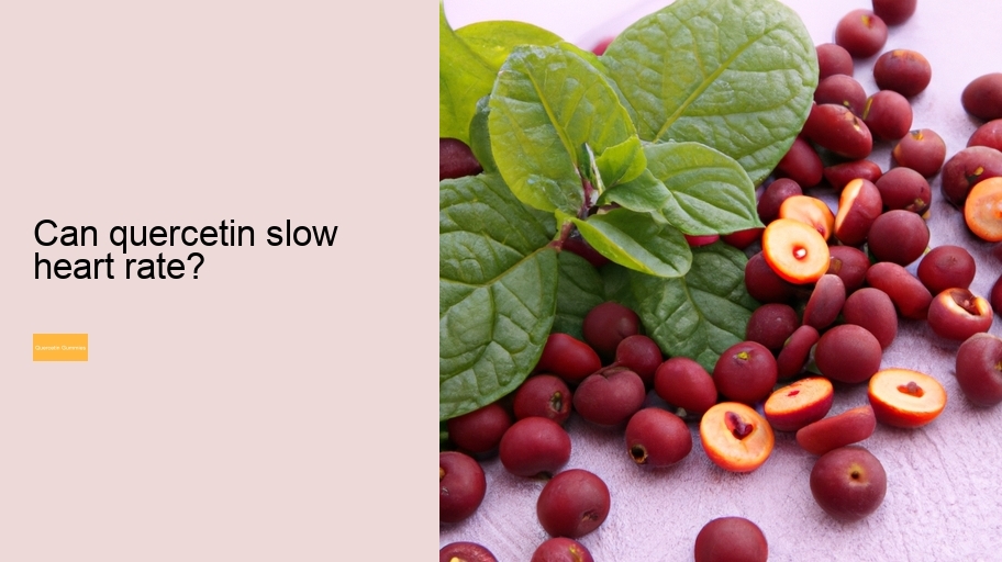 Can quercetin slow heart rate?