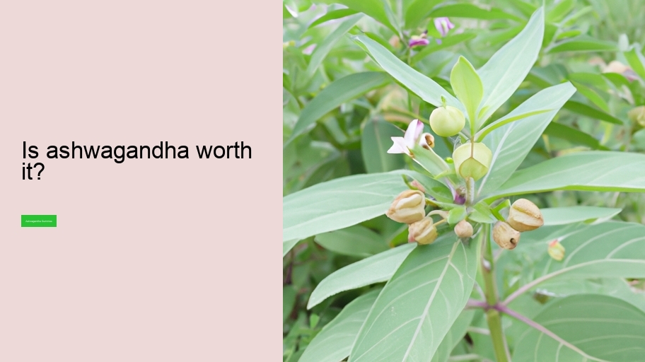 Is ashwagandha worth it?