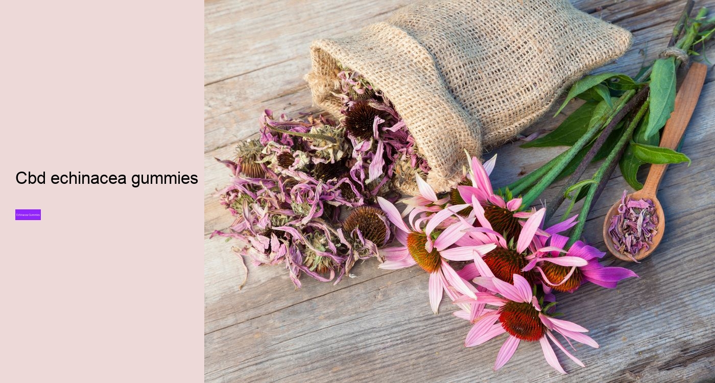 What are the benefits and side effects of echinacea?