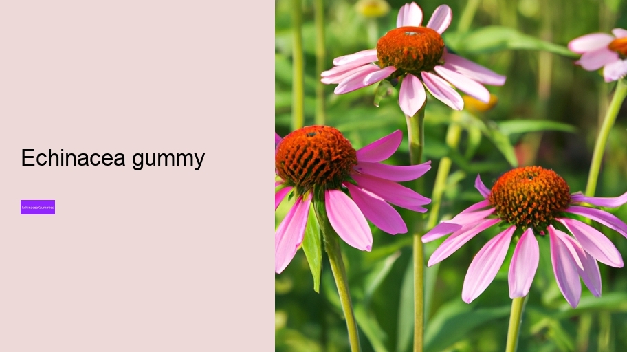 echinacea gummy