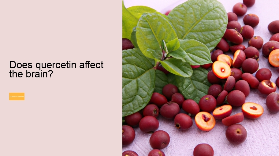 Does quercetin affect the brain?