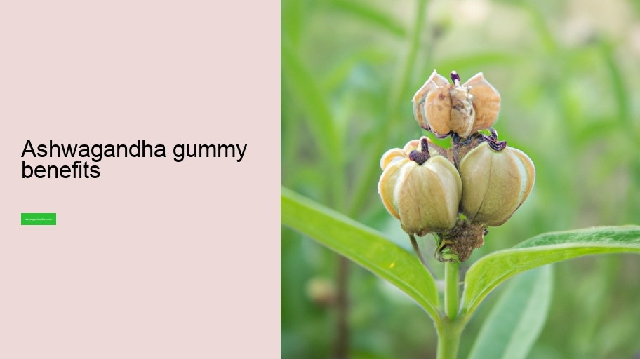 ashwagandha gummy benefits