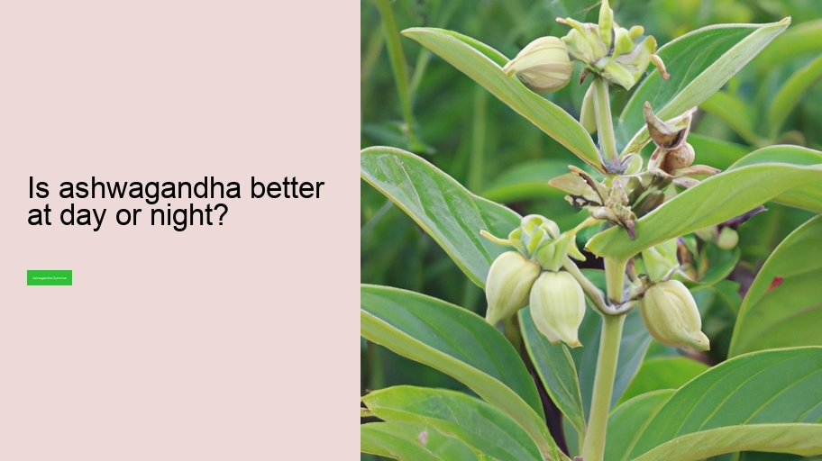 Is ashwagandha better at day or night?