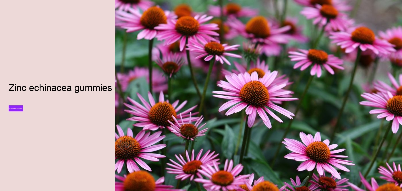 echinacea in gummy form