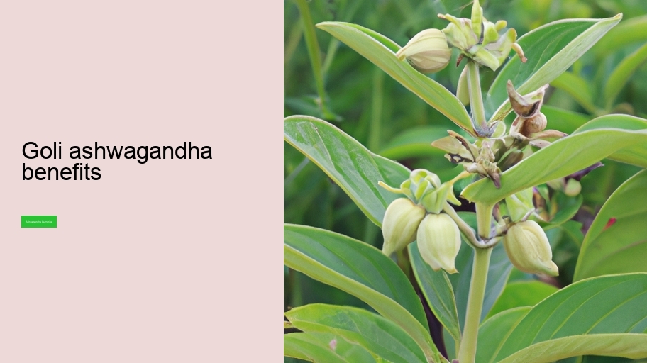 goli ashwagandha benefits