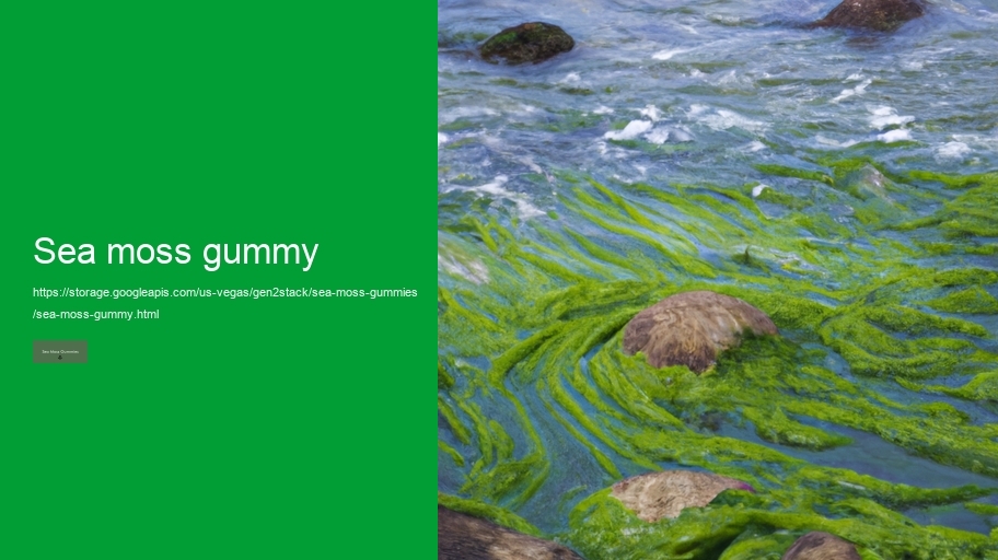 sea moss gummy